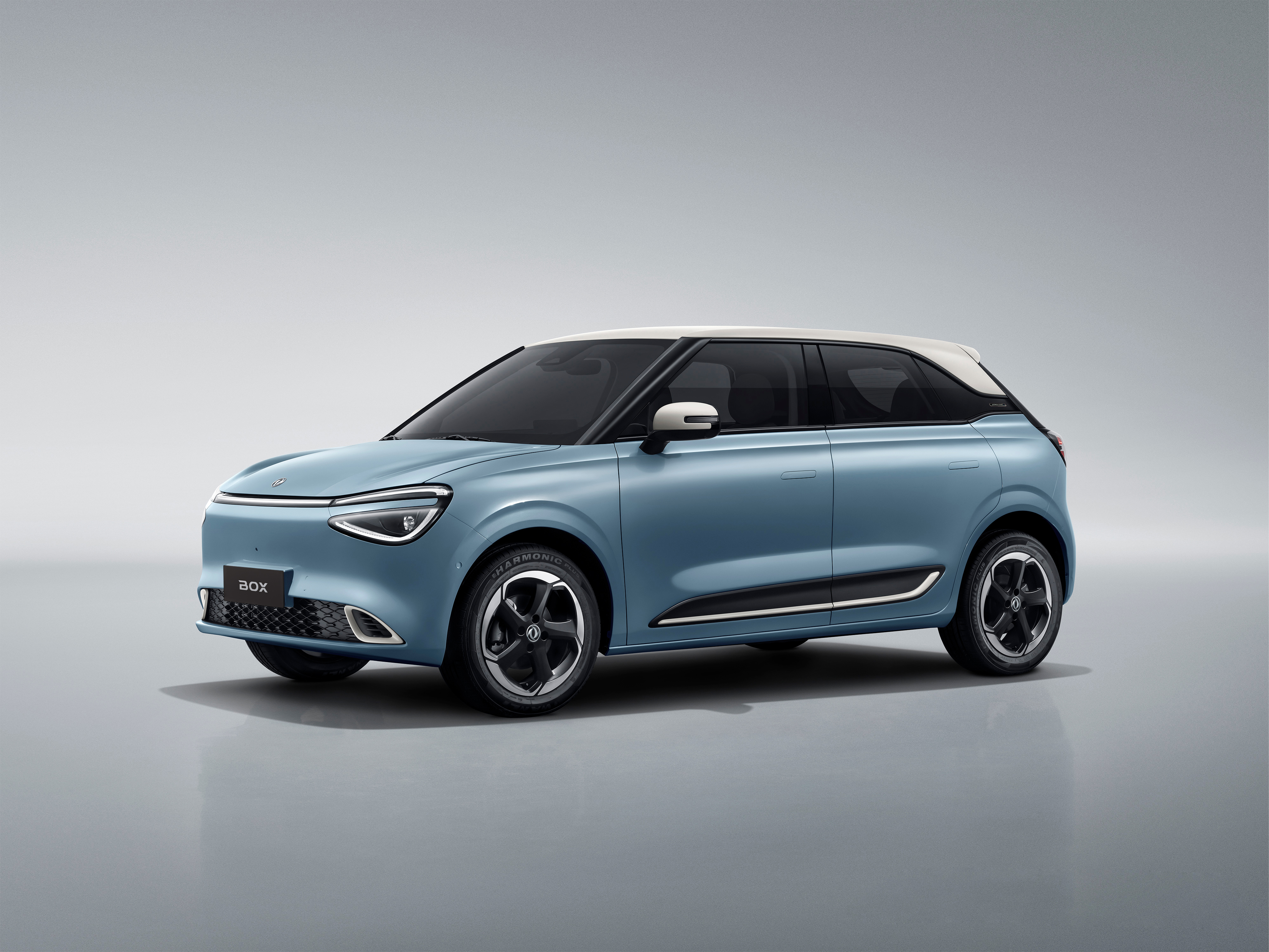 Dongfeng Box E3 with Floating Cloud (White Roof )
